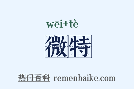 微特是什么意思的图片